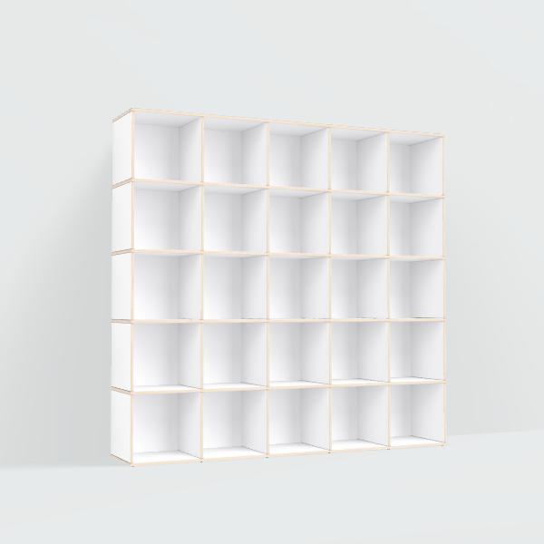 Vinyl Storage in White with Backpanels