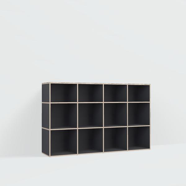 Vinyl Storage in Black with Backpanels
